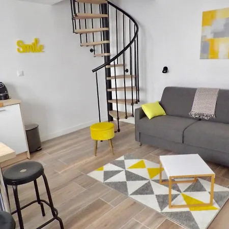 Duplex Confort Centre Lyon
